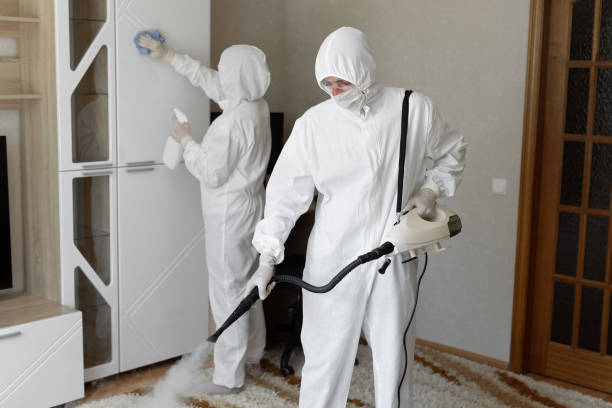 24/7 Emergency Blood Cleanup experts in Cedar Springs, MI